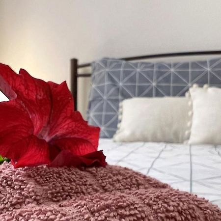 Corfu  Casa Di Mare 아파트 외부 사진
